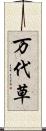 万代草 Scroll