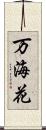 万海花 Scroll