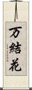 万結花 Scroll