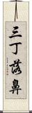 三丁落鼻 Scroll