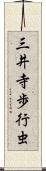 三井寺歩行虫 Scroll