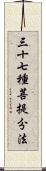 三十七種菩提分法 Scroll