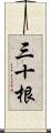 三十根 Scroll