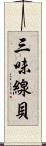 三味線貝 Scroll