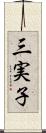 三実子 Scroll