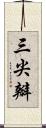 三尖瓣 Scroll