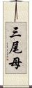 三尾母 Scroll