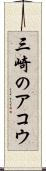 三崎のアコウ Scroll