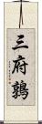 三府鶉 Scroll