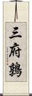 三府鶉 Scroll