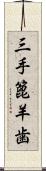 三手篦羊歯 Scroll