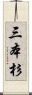 三本杉 Scroll