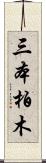 三本柏木 Scroll