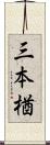 三本楢 Scroll