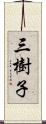 三樹子 Scroll