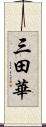 三田華 Scroll