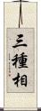 三種相 Scroll