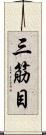 三筋目 Scroll