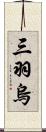 三羽烏 Scroll