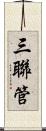 三聯管 Scroll