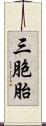 三胞胎 Scroll