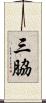三脇 Scroll