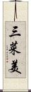 三菜美 Scroll