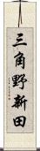 三角野新田 Scroll