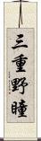 三重野瞳 Scroll