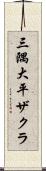 三隅大平ザクラ Scroll