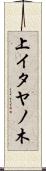 上イタヤノ木 Scroll