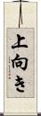 上向き Scroll