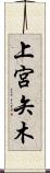 上宮矢木 Scroll