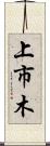 上市木 Scroll