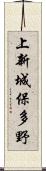上新城保多野 Scroll