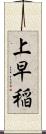 上早稲 Scroll
