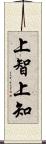 上智 Scroll