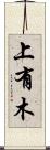 上有木 Scroll
