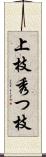 上枝 Scroll