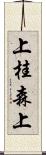 上桂森上 Scroll