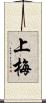 上梅 Scroll