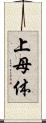 上母体 Scroll