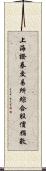 上海證券交易所綜合股價指數 Scroll