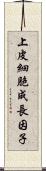 上皮細胞成長因子 Scroll