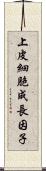 上皮細胞成長因子 Scroll