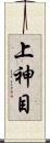 上神目 Scroll