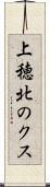 上穂北のクス Scroll