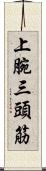 上腕三頭筋 Scroll