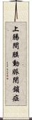 上腸間膜動脈閉鎖症 Scroll