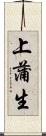 上蒲生 Scroll